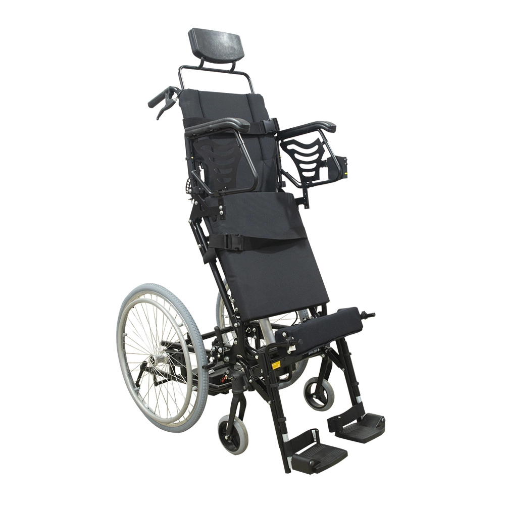 Cadeira de Rodas Freedom Stand up Manual - Cor: Roxo